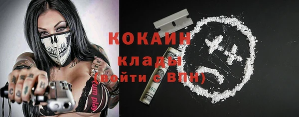 стафф Бородино