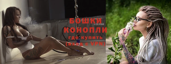 стафф Бородино