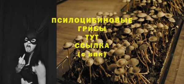 мескалин Бронницы