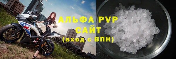 стафф Бородино
