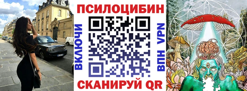 Галлюциногенные грибы Psilocybine cubensis  купить наркотики сайты  Краснообск 